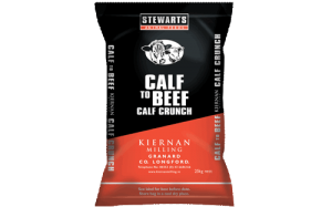 2beef-300x187