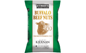 buffalo-300x187